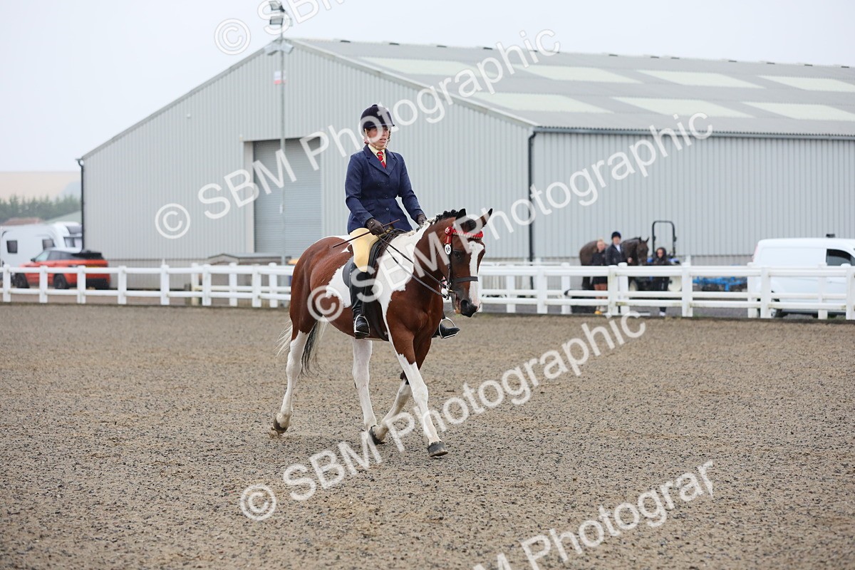 SBM_19892 - Class 801 - Ridden Veteran