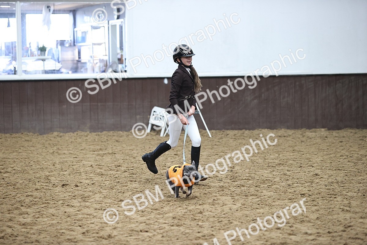 SBM_001197 - Class 3 - Horse & Hound 60cm