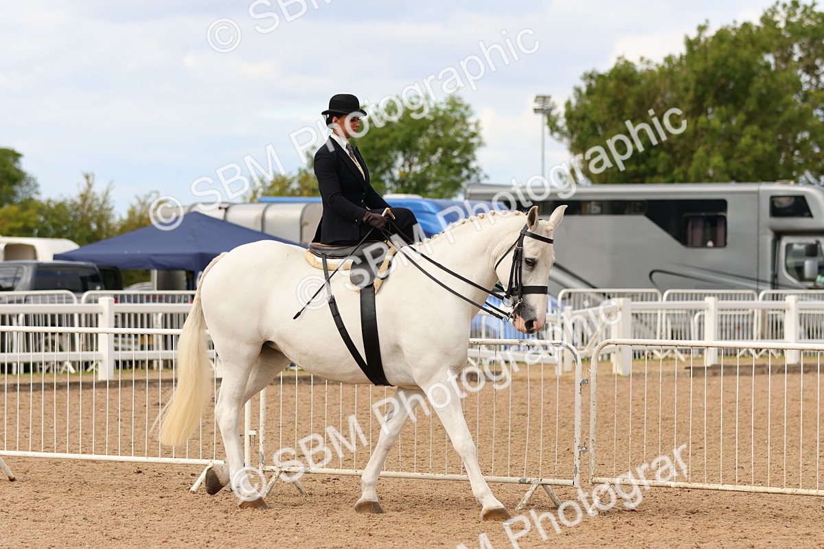 SBM_15872 - Class 216 - Best Side Saddle Horse-Pony