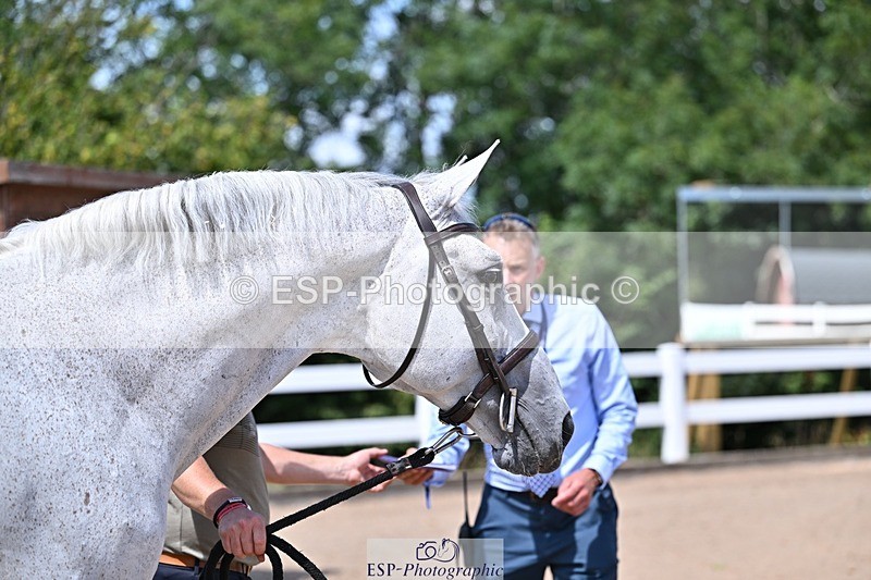 250716-122927-00011 - Trot Up 12.30 to 1.30