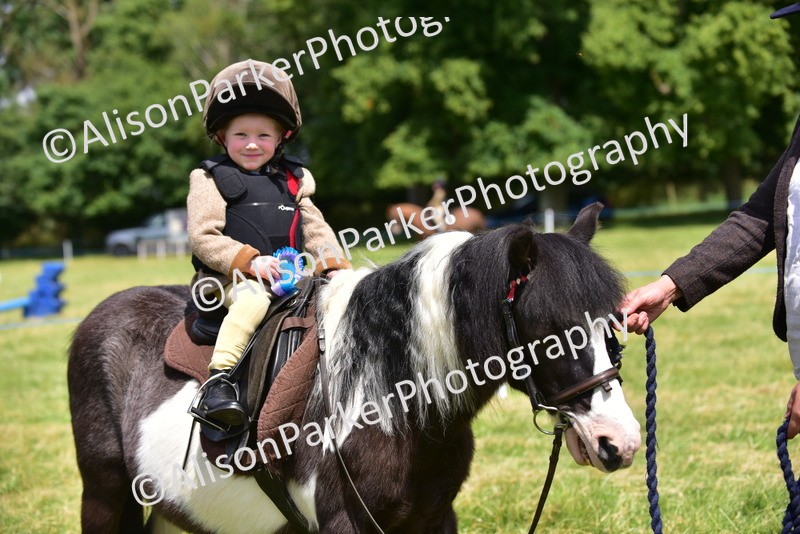 20260614-1337 - Class 11a - Lead Rein Pony (Unplaited)