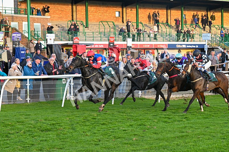 291024-Race 7-Crocodile Power-6490 - Race 7