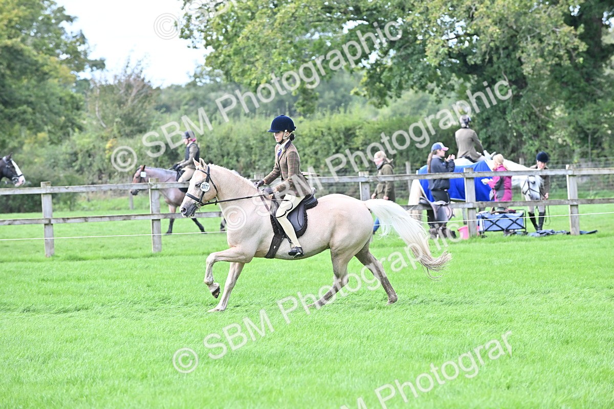 SBM_44508 - S13 - Pony Club Pony