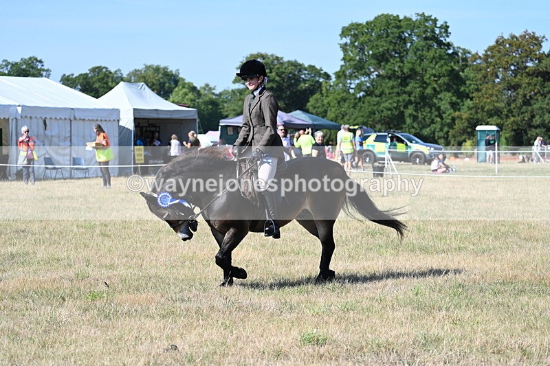 WJ7_3303 - Class 8 Ridden Tack & Turnout