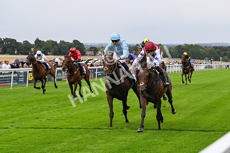 290826-Race 3-Fans Favourite-6474 - Race 3 2.55pm Dearing Plastics Celebrating 40 Years Handicap