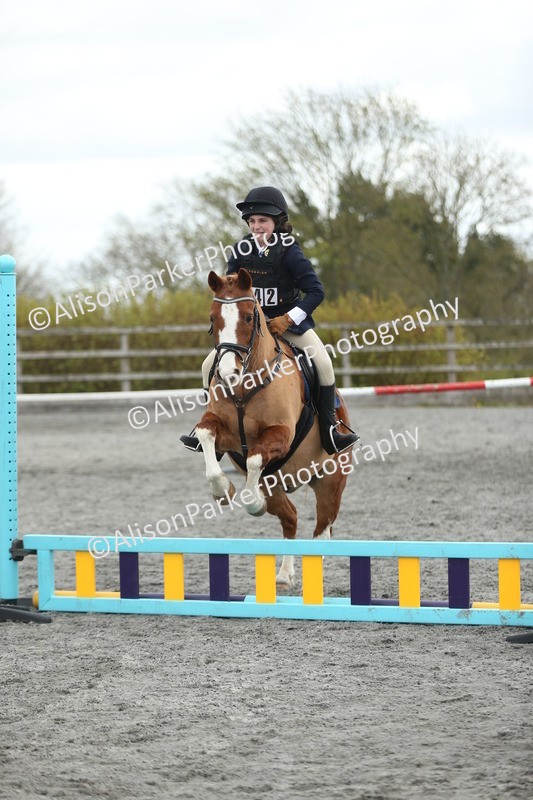 20260412-0611 - Show Jumping