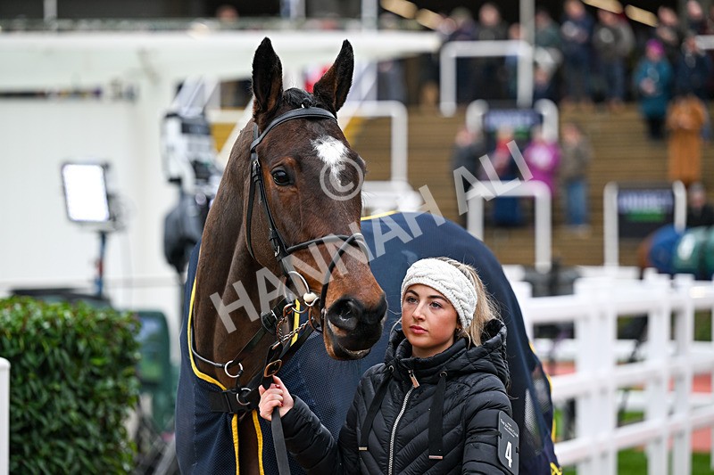 121225-Race 1-Mullaghgloss-4237 - Race 1