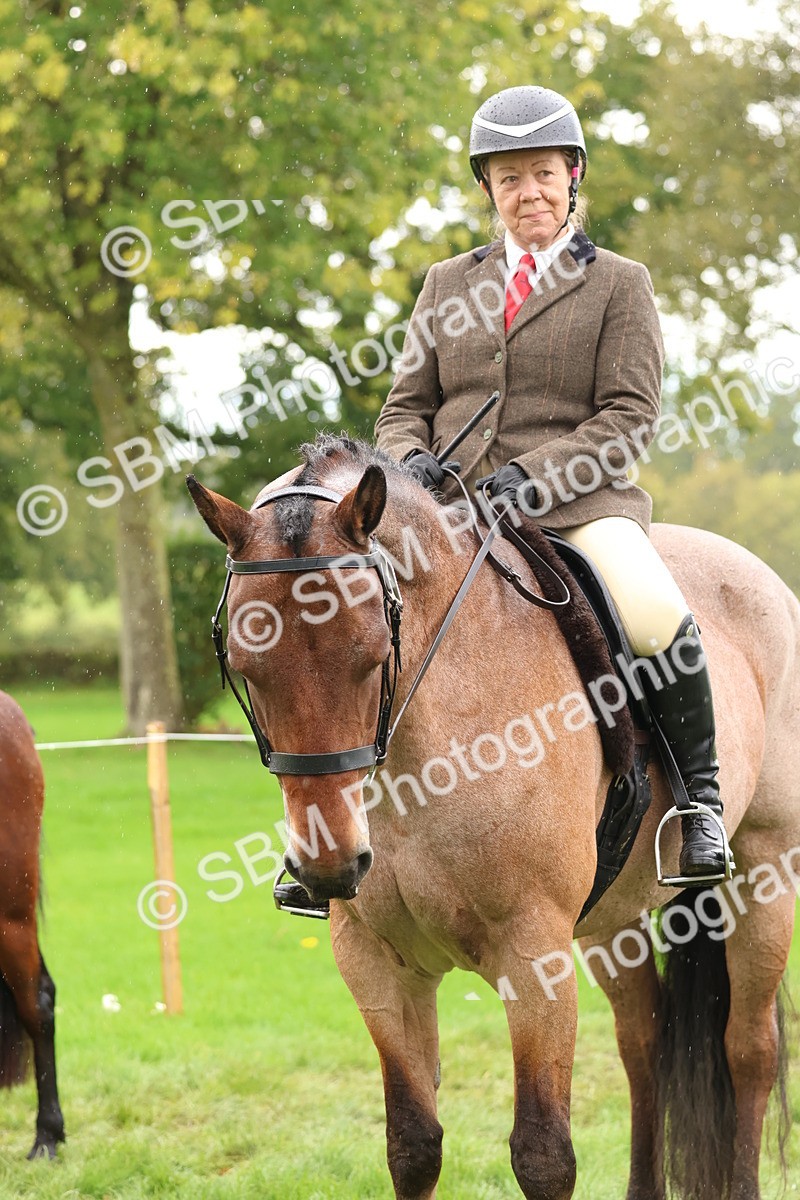 SBM_45091 - S27 - Young Veteran Ridden