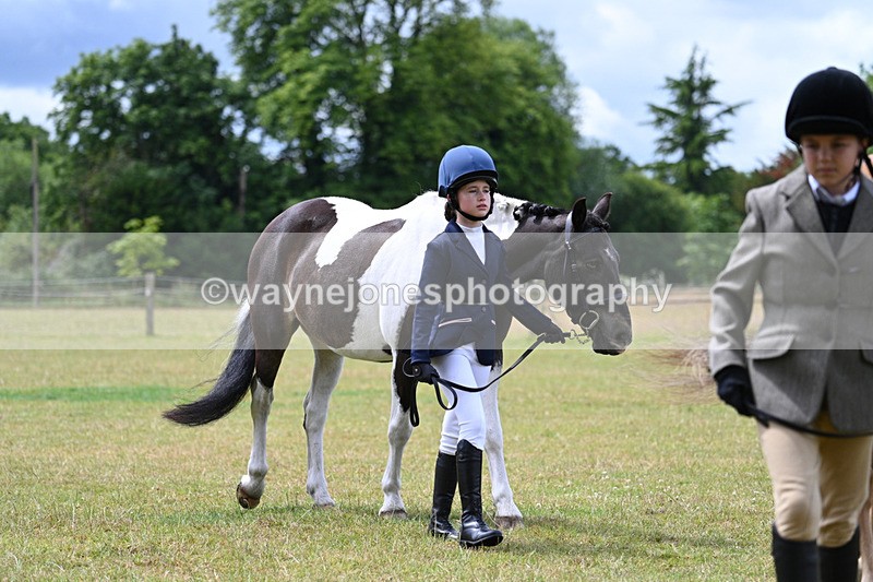 WJ7_6566 - Class 5 Handsome Gelding in hand