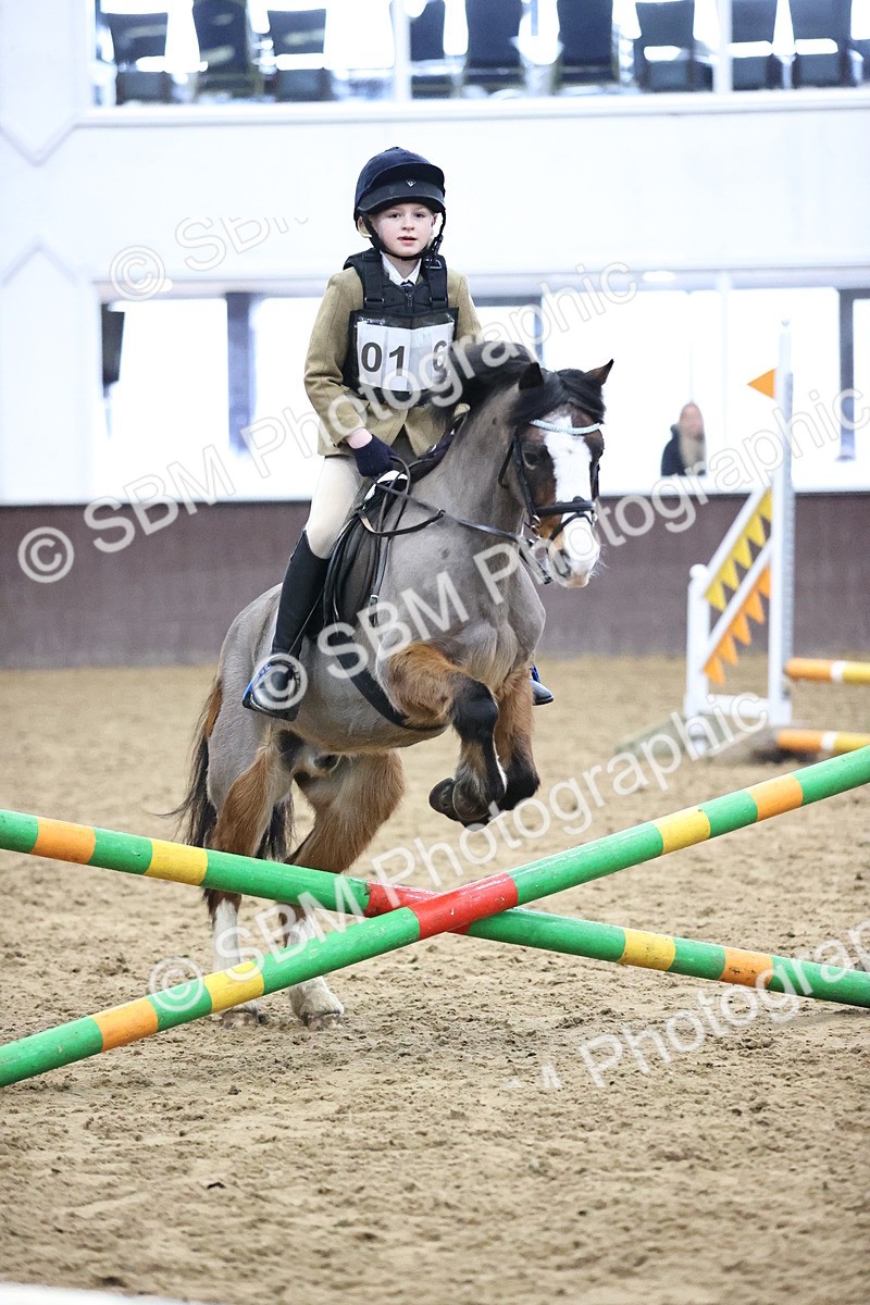 SBM_000585 - Class 2 - 50cm