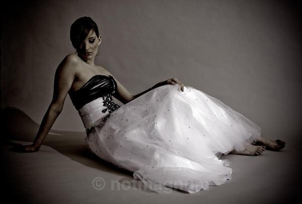 Fallen Swan - PHOEBE
