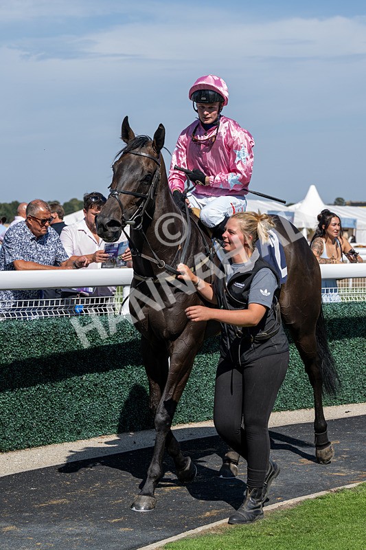 120826-Race 3-Sir David-6180 - Race 3 15.15pm Clearanswer Call Centres Handicap
