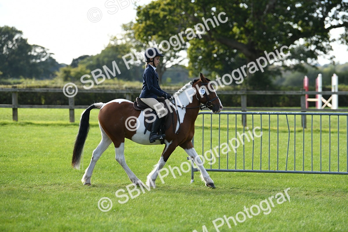 SBM_51787 - S21 - Novice & Newcomers 1st Ridden Pony