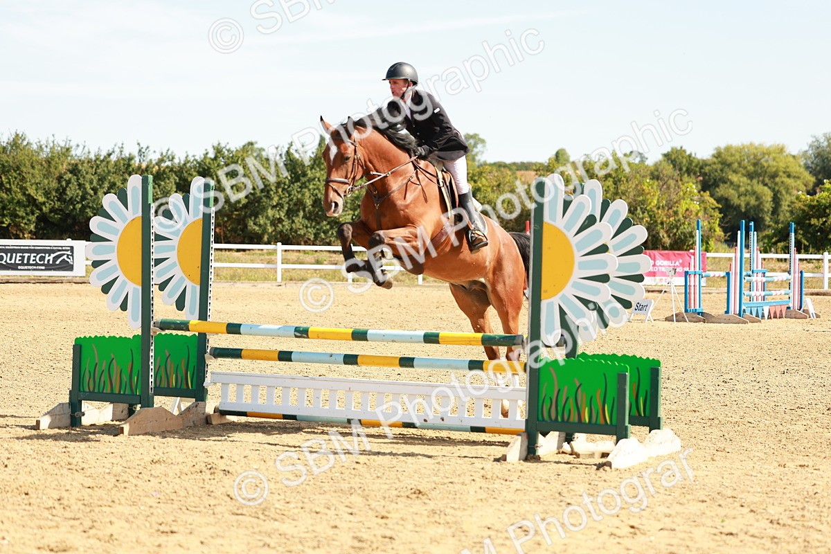 SBM_002606 - Class 9 - Senior British Novice - 90cm