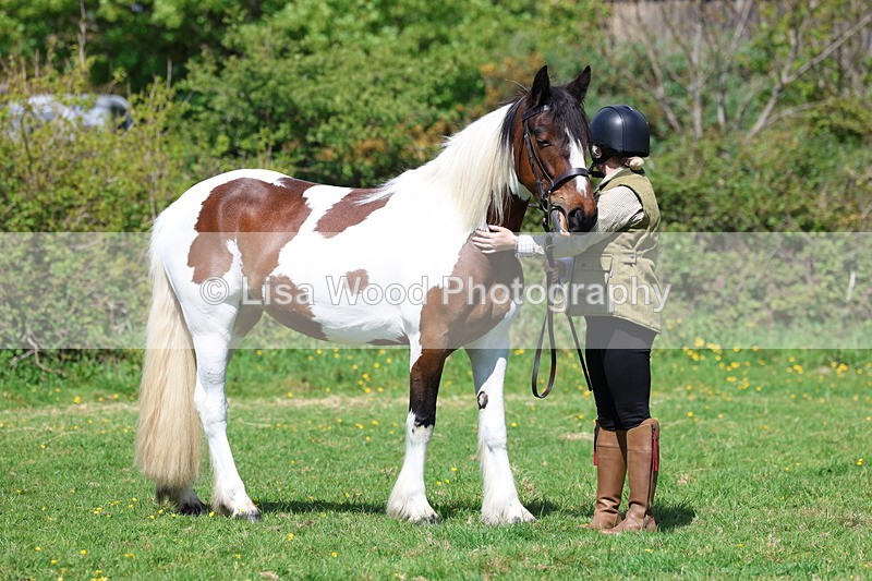 3E7A0342 - Class 19: Best Coloured in Hand