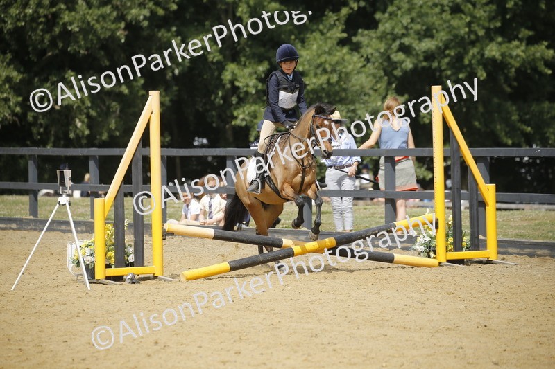 20250622-3951 - 50cm