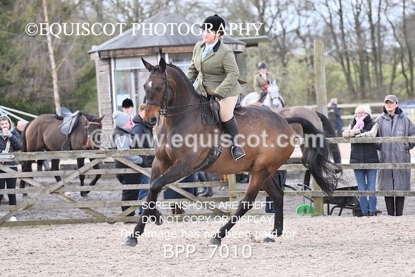 BPP_7010 - RING 1  (RIDDEN HORSES / IN HAND / VETERAN ETC)