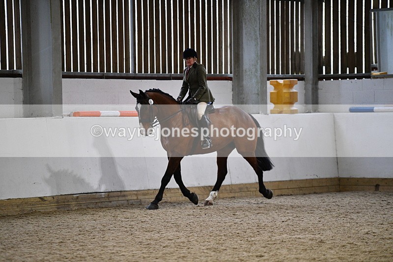WJ5_8993 - Class 15 Ridden Show Horse