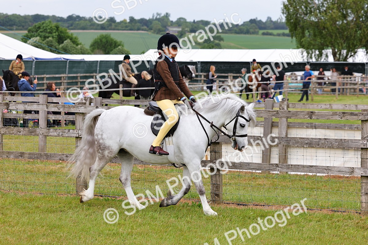 SBM_08530 - Class 42-43 - LIHS BSPS Heritage Working Sports Pony