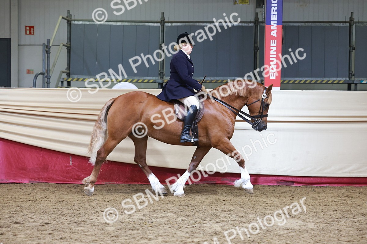 SBM_18573 - Class 952 - M&M Ridden Supreme Final