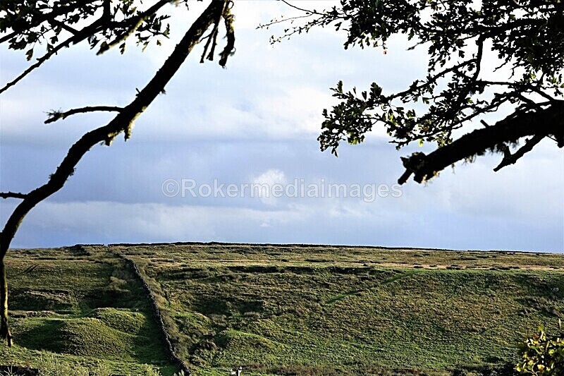 DSC07730 - SEPT 2020 STAYCATION