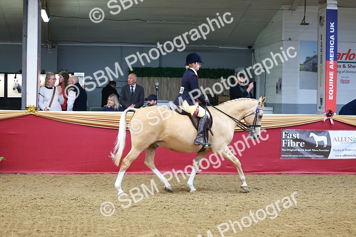 SBM_09894 - Class 102 - HOYS Veteran Qualifier - Ridden Veteran