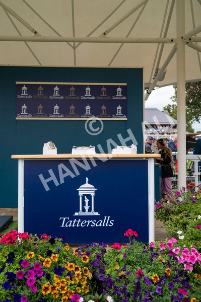 210824-Race 2-The Lion In Winter-4954 - Race 2 2.25pm Tattersalls Acomb Stakes