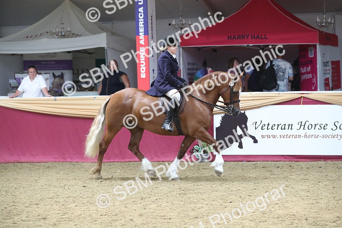 SBM_17186 - M&M Supreme Final Champ