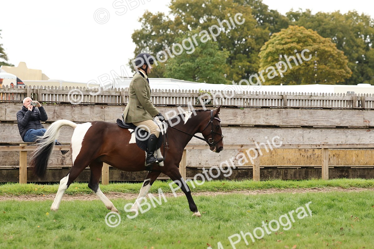 SBM_59937 - S36 - Rehabiliated Rescue Horse & Pony In Hand & Ridden