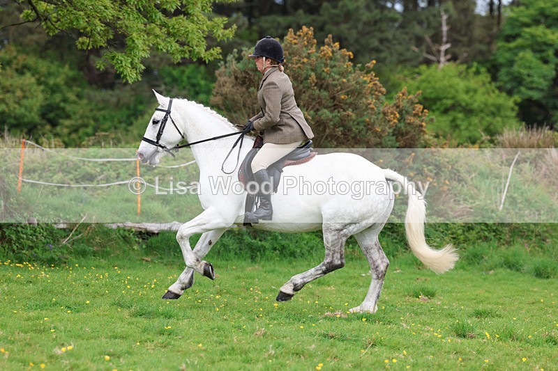 3E7A1260 - Class 7: Ridden Hunter Type