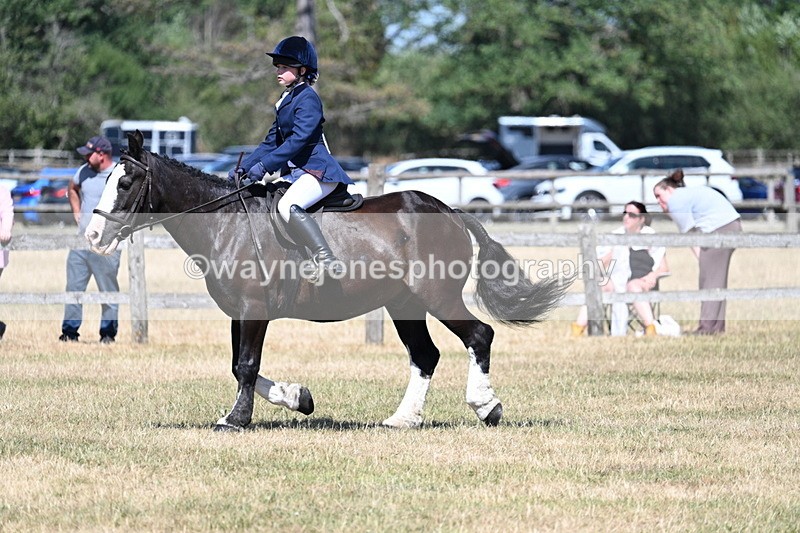WJ7_3684 - Class 8 Ridden Veterans
