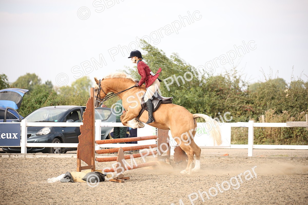 SBM_17247 - Class 410a - Wor5king Veteran 90cm (15-19)