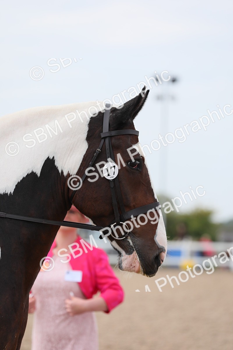 SBM_16944 - Class 314 Family Horse/Pony