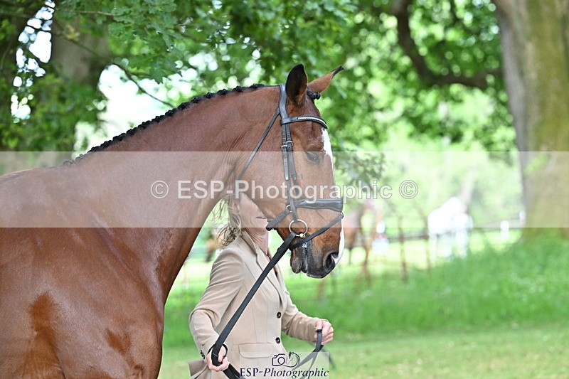 250521A-165545-01408 - C-272-Louisa.Lockwood-KILCANNON.OREO