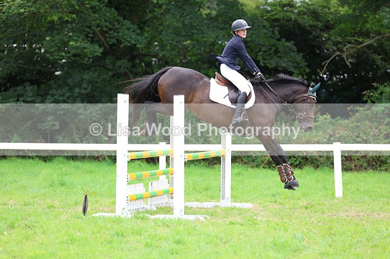 3E7A7040 - Class 5: Senior British Novice/90cm open