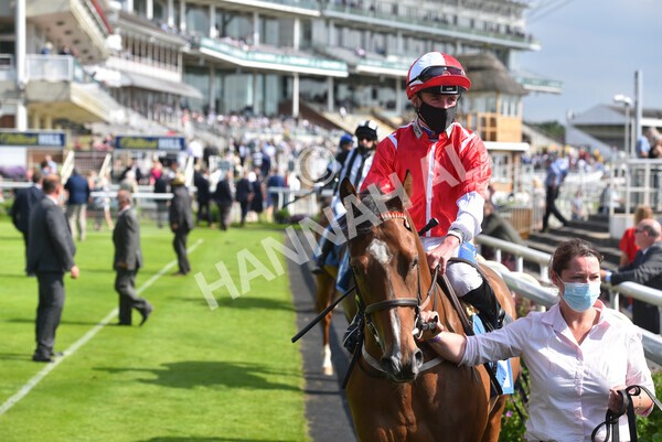 yr09072021r5-30 - Race 5: 4.20pm Garbutt + Elliott Stakes