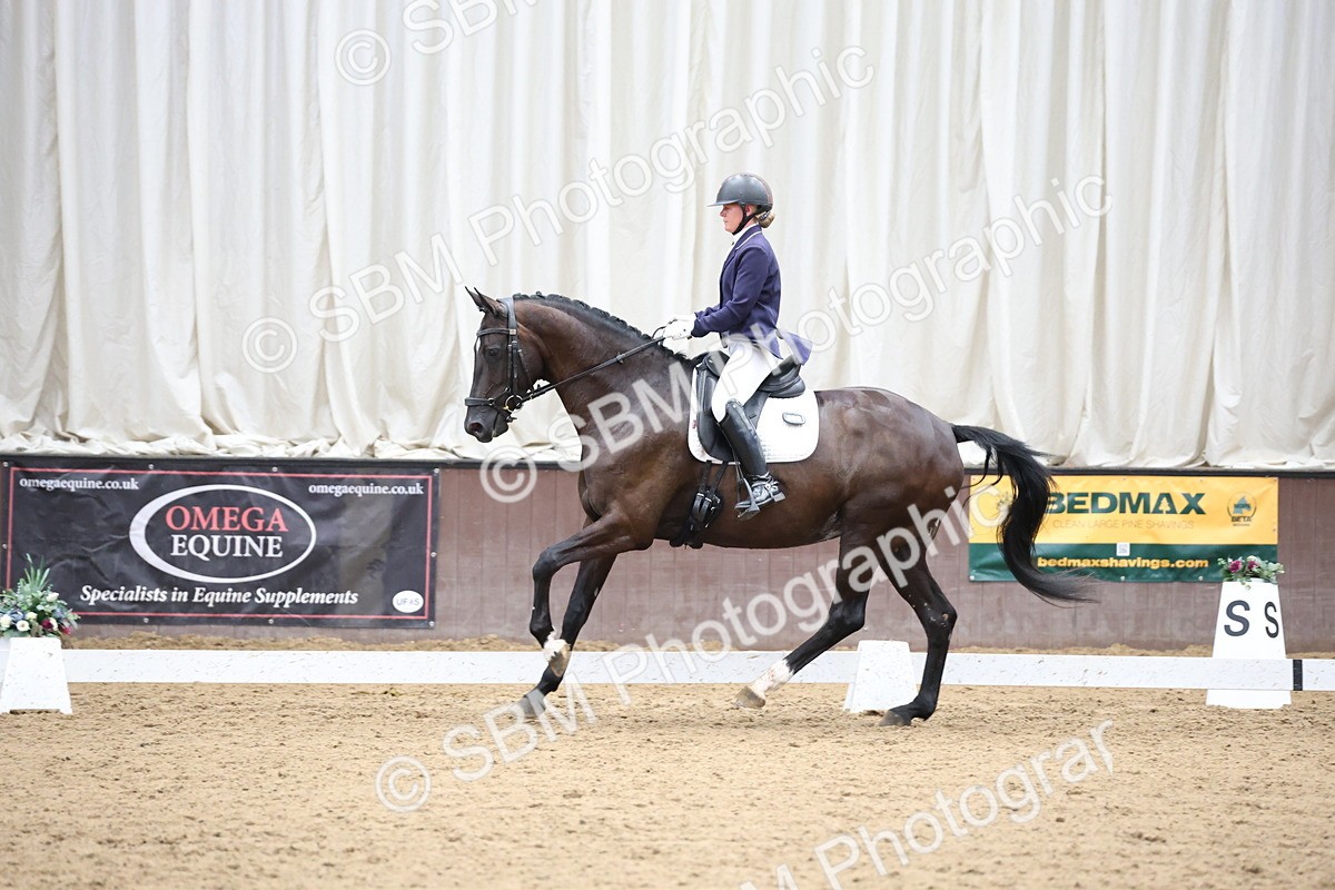 SBM_003496 - Class 5 - Novice 6 Gold - 13.05-14.00