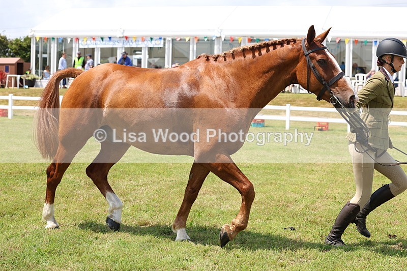 3E7A1670 - Class 9: Open Hunter