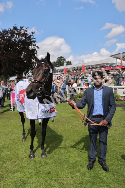 yr20082022r1-55 - Race 1 1.50pm Sky Bet & Symphony Group Strensall Stakes