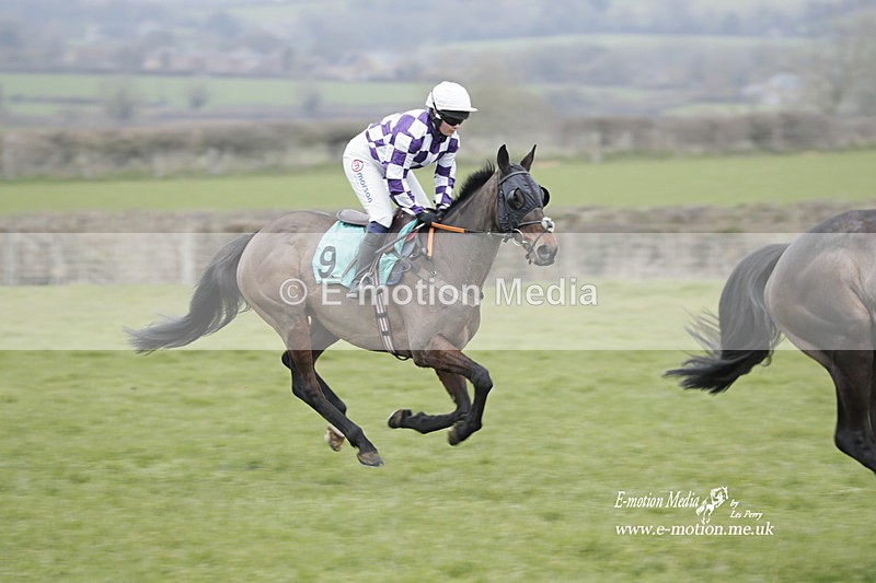 PtP 050323 387 - Blackmore & Sparkford Vale Hunt PtP - Somerset 05/03/23