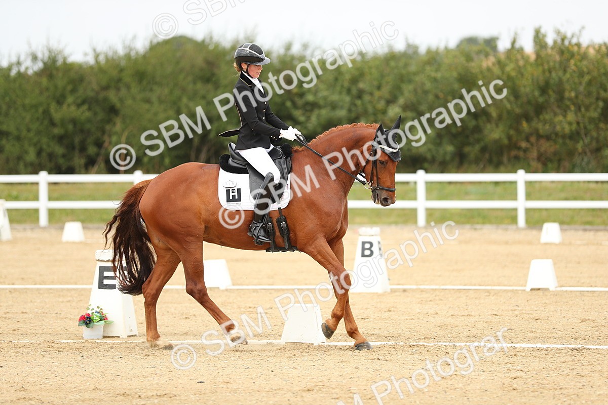 SBM_017611 - Class 13 - Novice 23 - 14.27-15.16