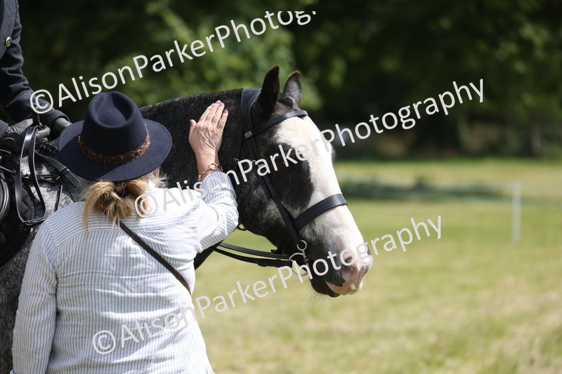 20260614-1981 - Class 21 - Novice Working Hunter Pony