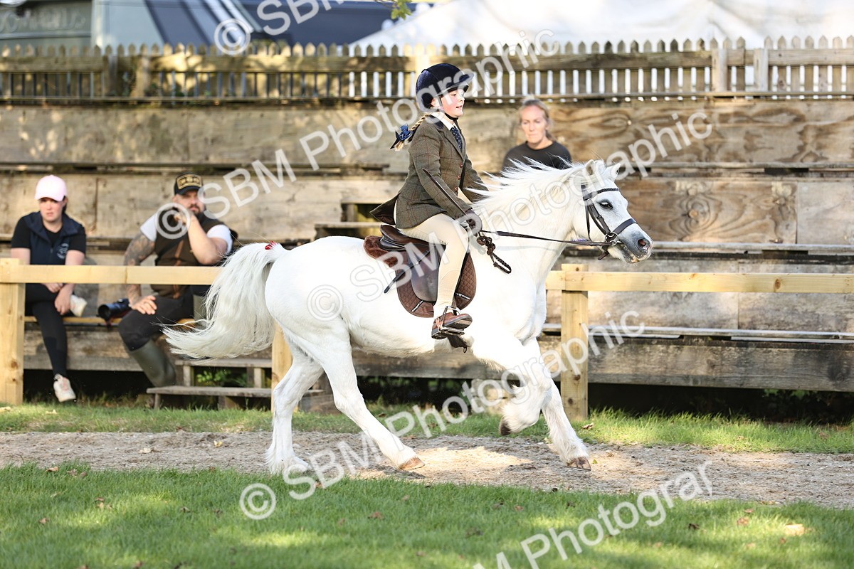 SBM_29453 - S7 - Novice & Newcomers Ridden Pony