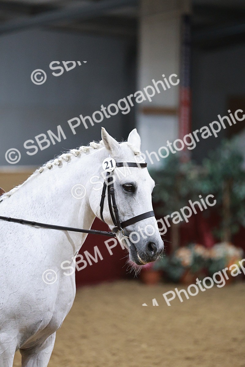 SBM_08087 - Class 11R - Regional Ridden Veteran