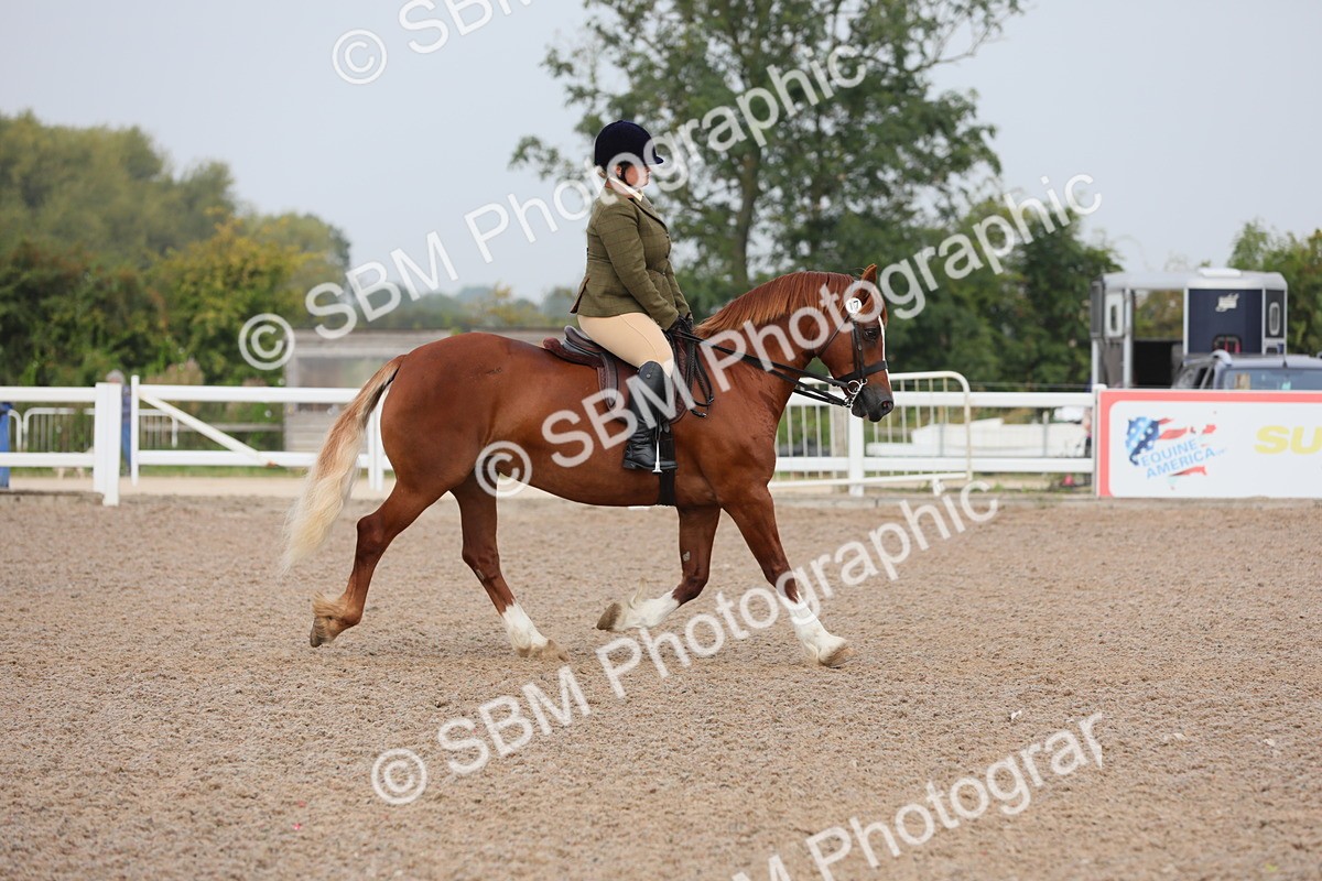 SBM_09982 - Class 302 Ridden M&M -Large Breeds