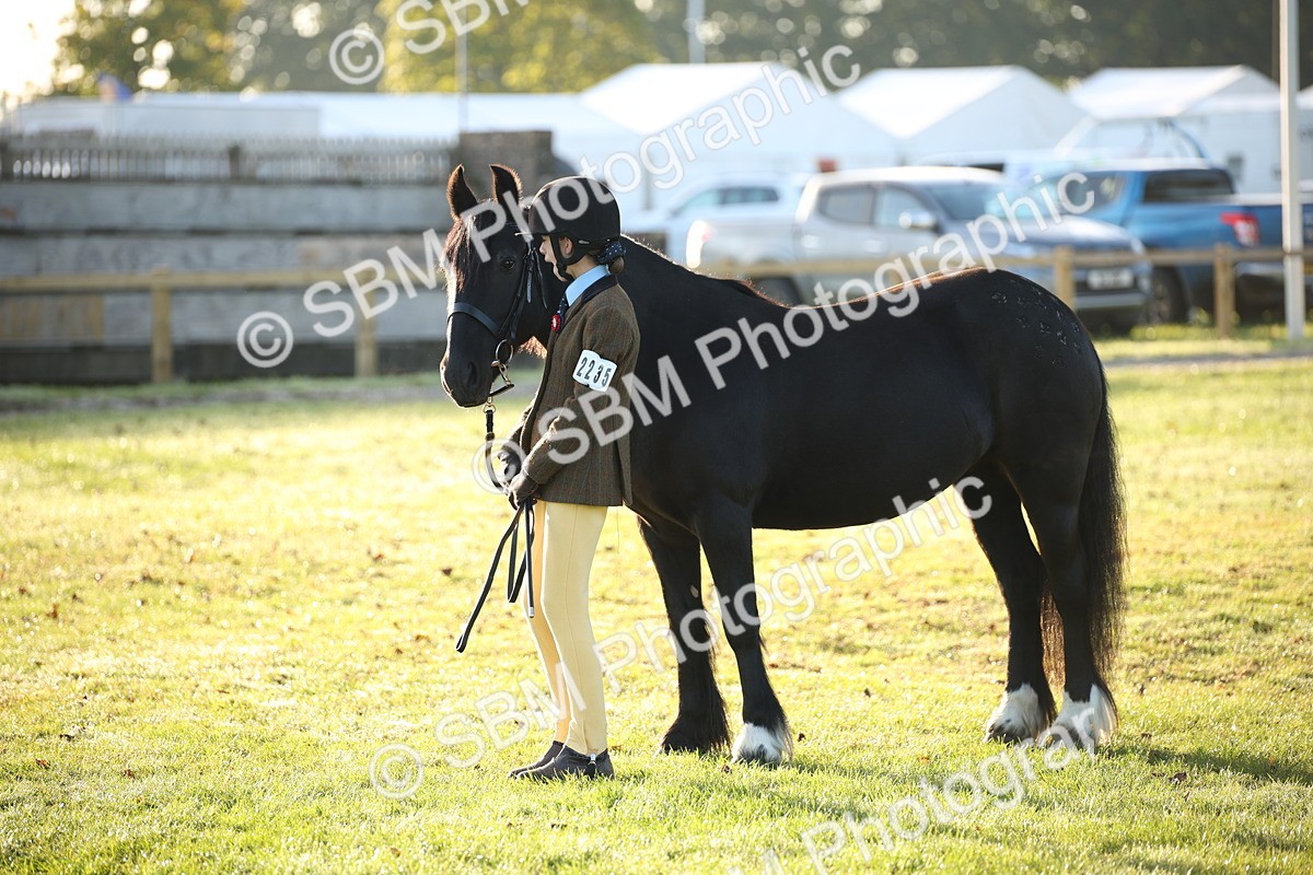 SBM_32296 - S8 - Best Turned Out