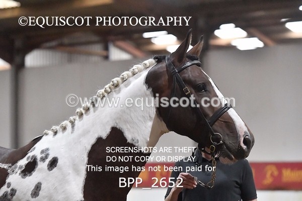 BPP_2652 - LOOSE JUMPING / SPSS