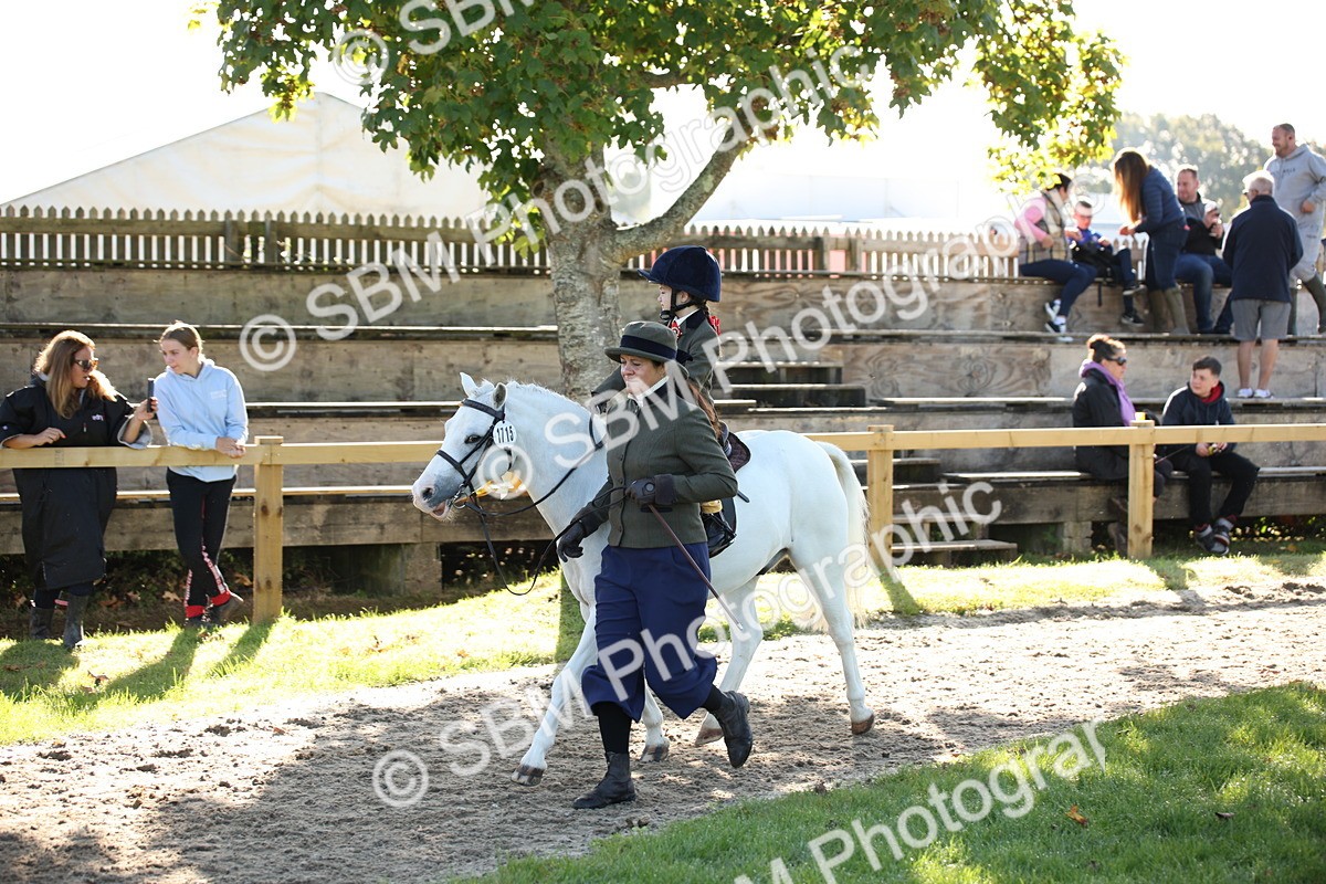 SBM_35773 - S9 - Lead Rein Equitation