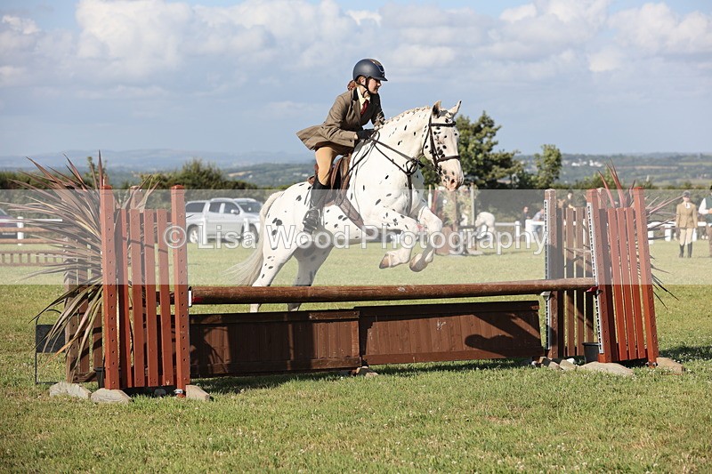 JPP_3157 - Class 21: Working Hunter 80cm