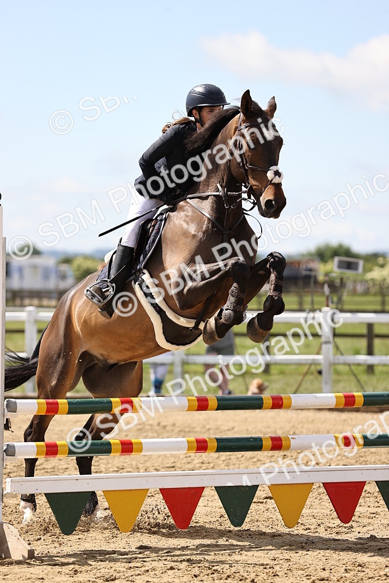 SBM_002201 - Class 9 - Senior British Novice - 90cm